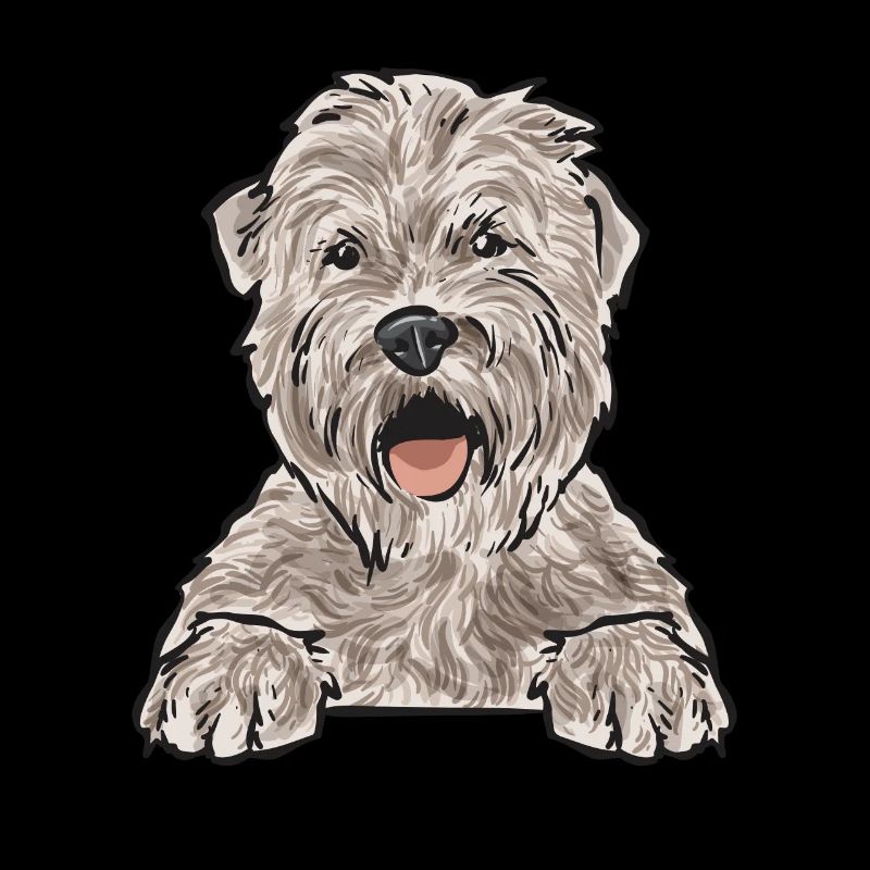 Terrier irlandais à enrobage doux