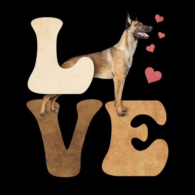 Chien malinois belge