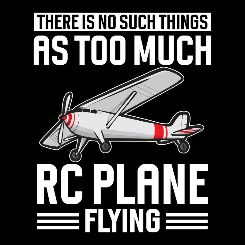 Remote Controlled Airplane Model Airplane