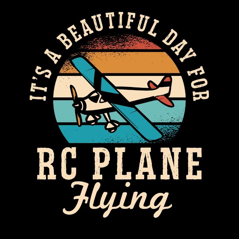 Remote Controlled Airplane Model Airplane