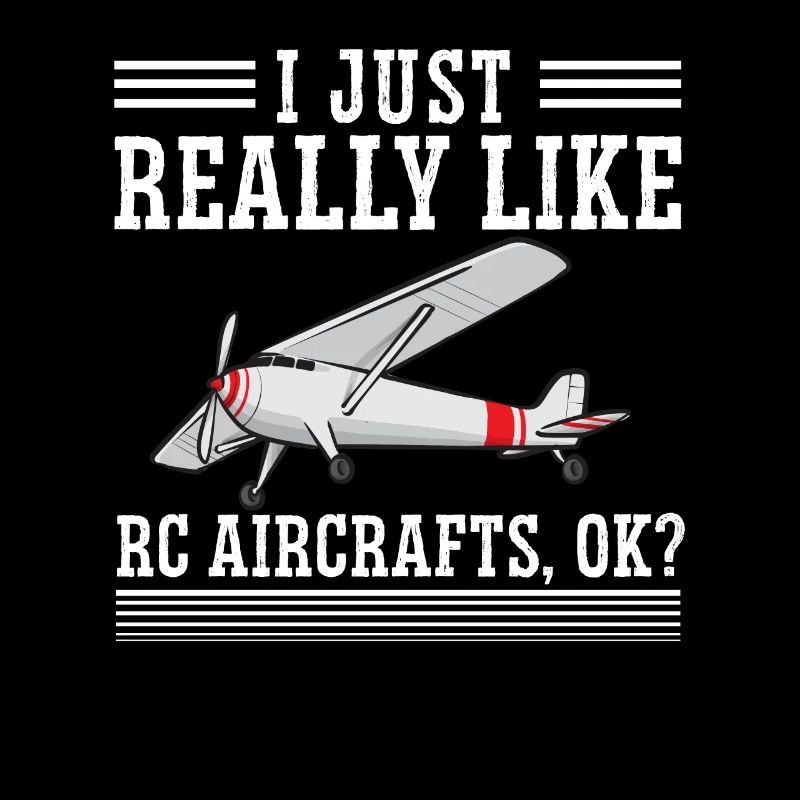 Remote Controlled Airplane Model Airplane