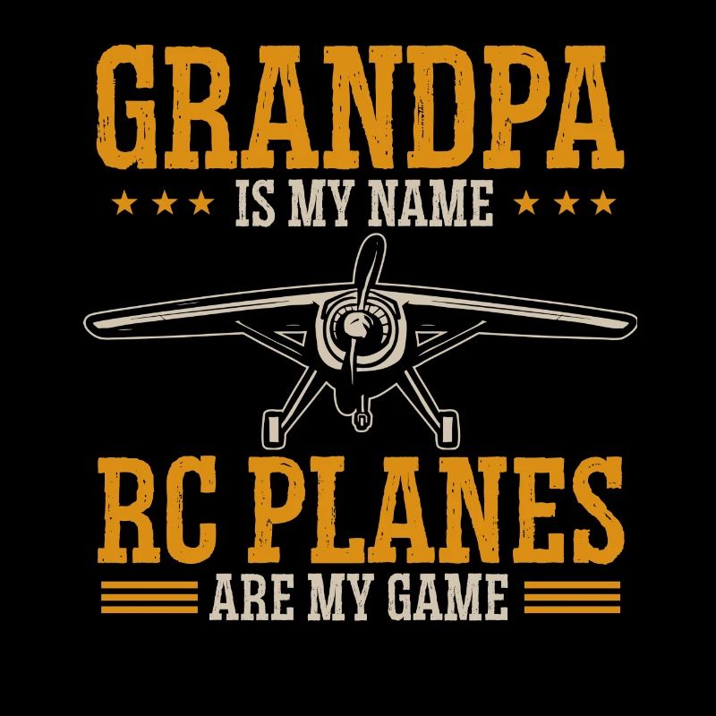 Remote Controlled Airplane Model Airplane