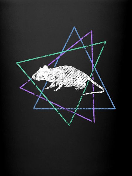 Souris