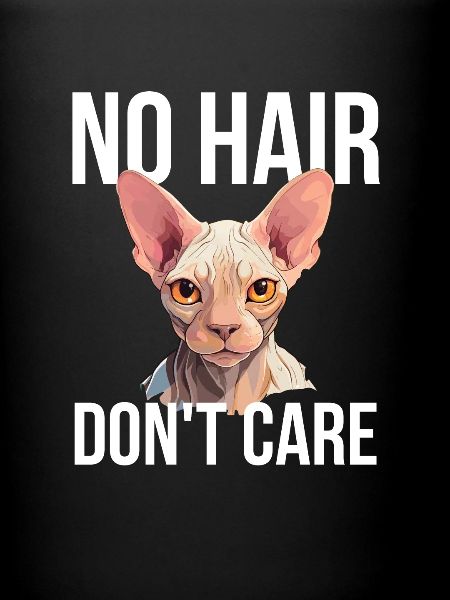 sphynx cat
