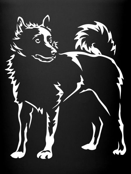 Schipperke "Black Edition"
