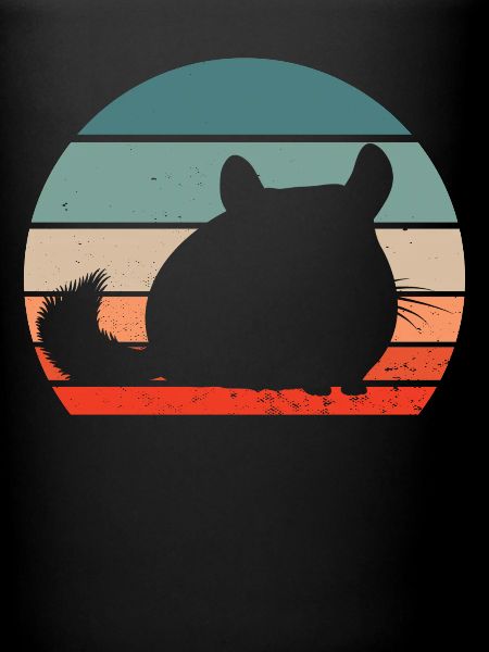 Chinchilla Rétro