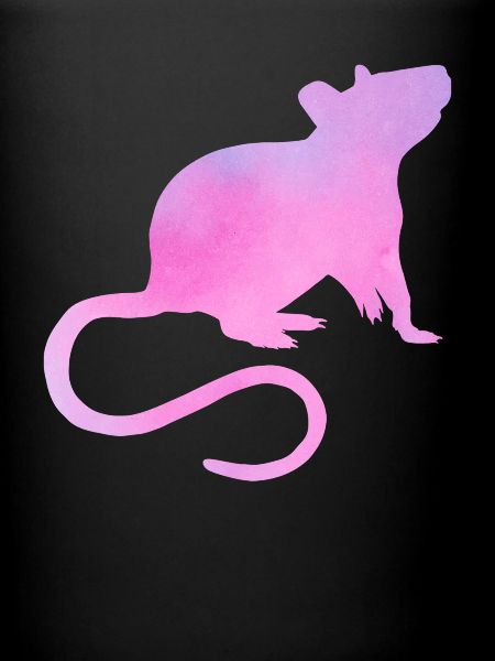 Maman rat