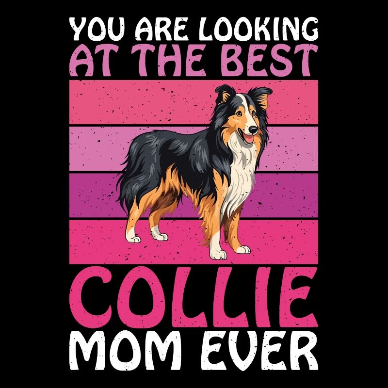 Cadeaux Collie