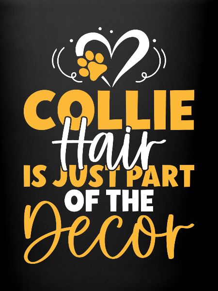 Cadeaux Collie