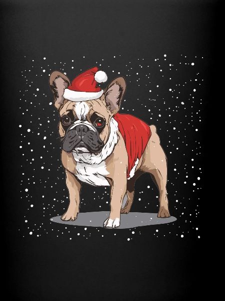 Noël bouledogue français