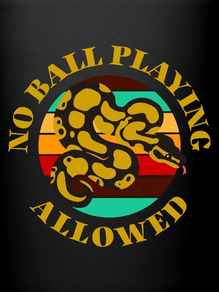 Ball Python Königspython Schlange