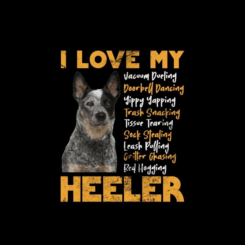 Australian Cattle Dog
