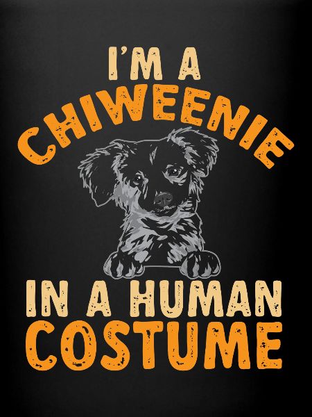Chiweenie Chien