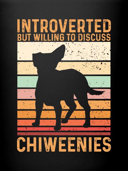 Chiweenie Chien
