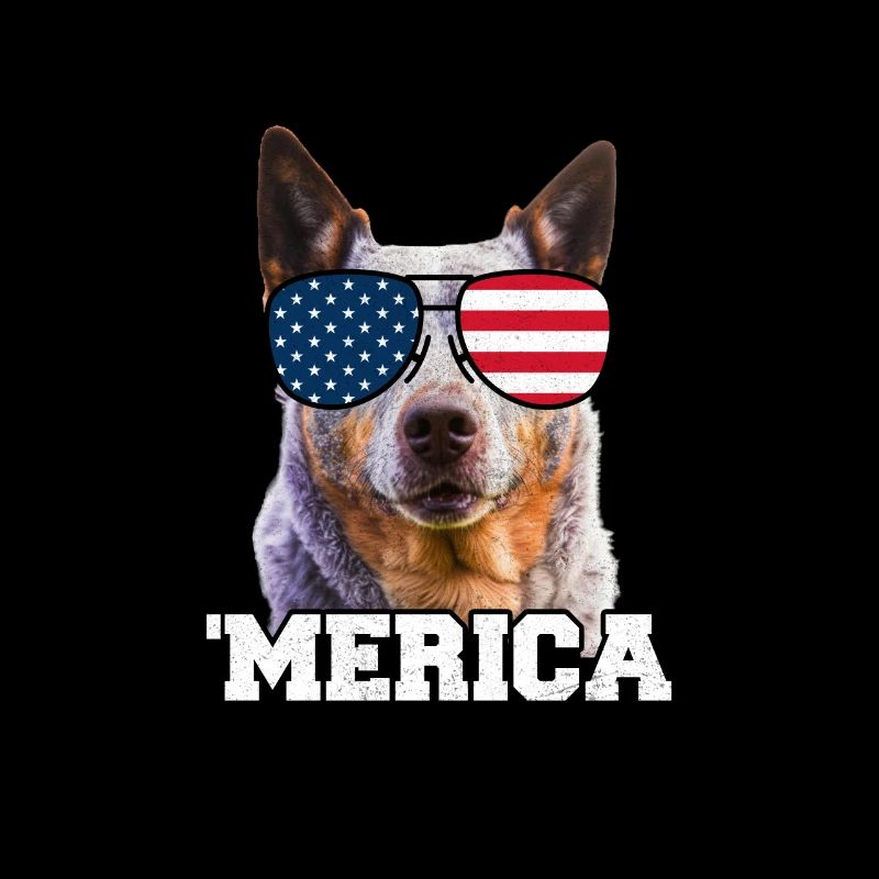 Bouvier australien États-Unis