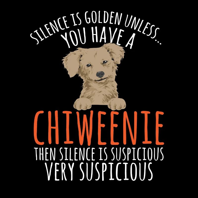 Chiweenie Dog