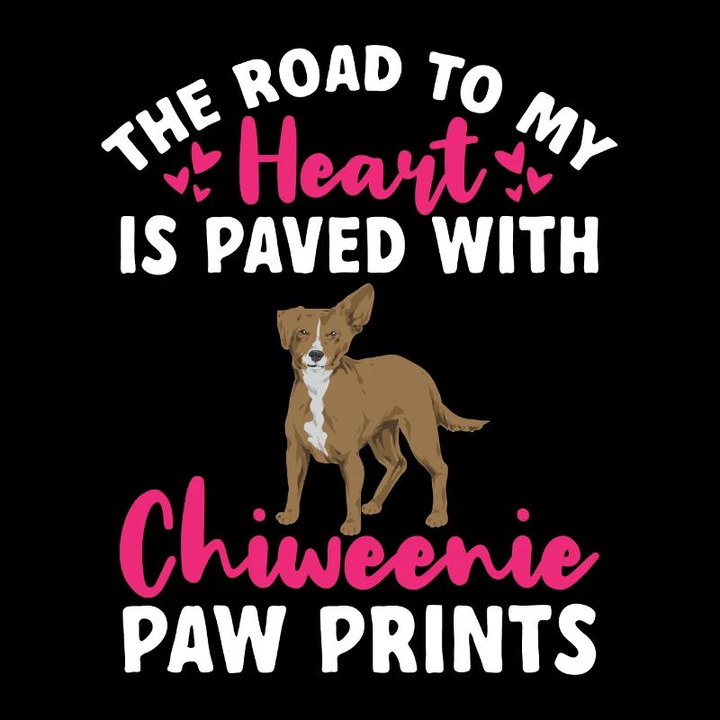 Chiweenie Dog