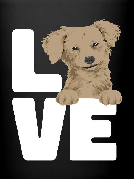 Chiweenie Chien