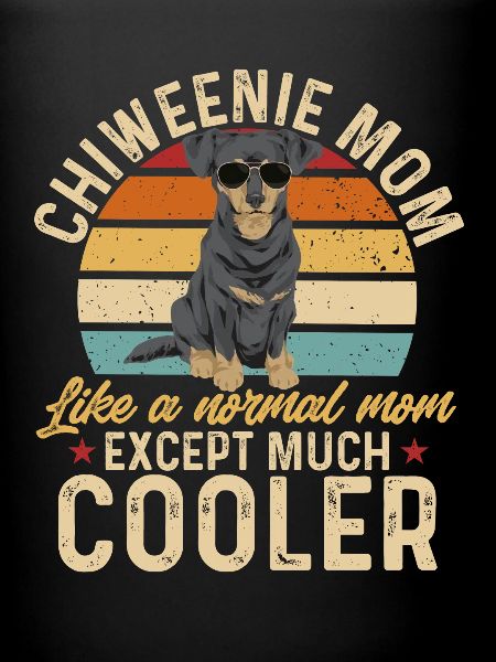 Chiweenie Chien