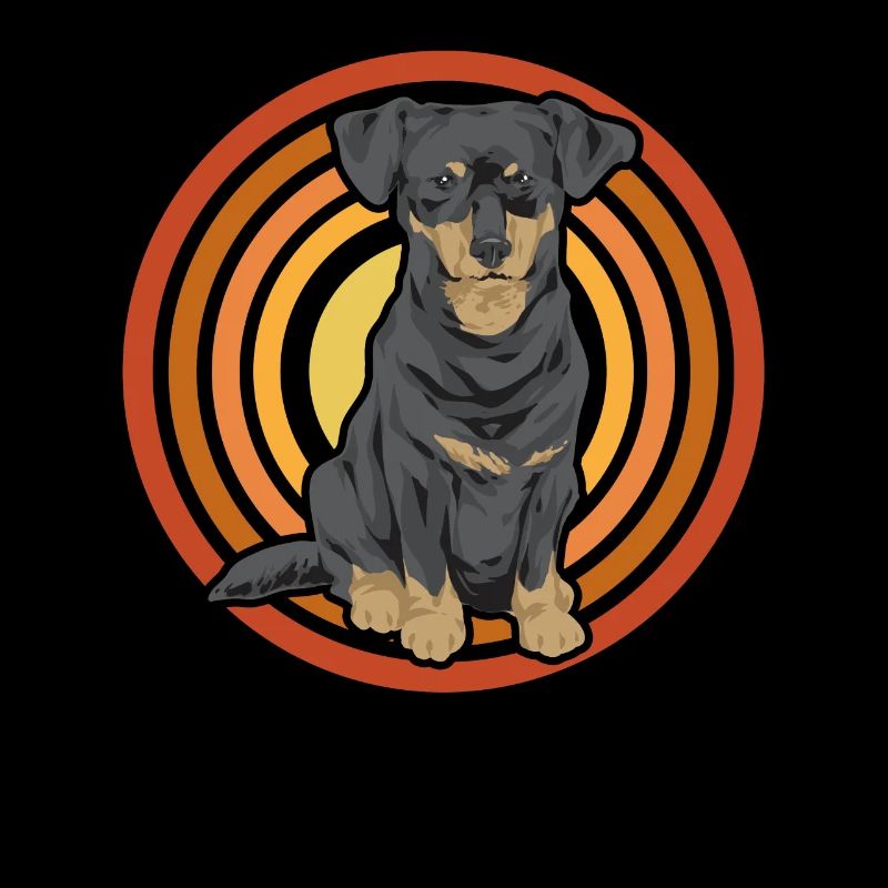 Chiweenie Dog