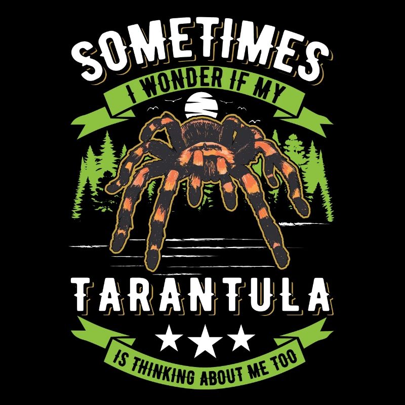 Tarantel Spinne Tarantula