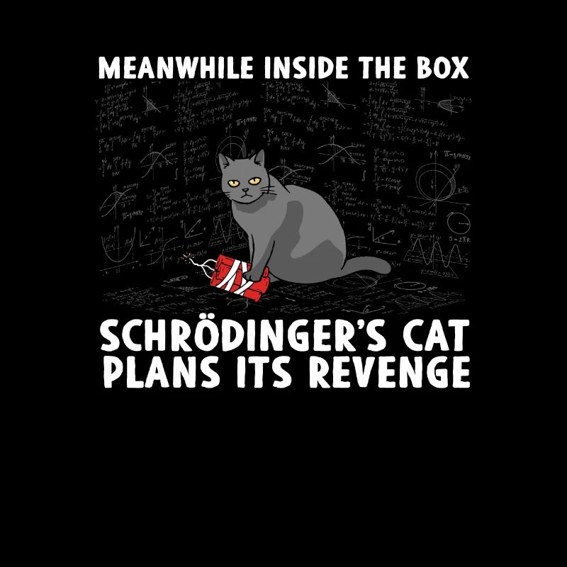 À l’intérieur de la boîte La revanche du chat de Schrödinger