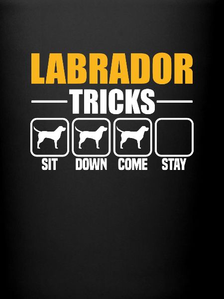 Astuces du Labrador