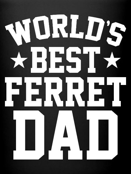 Papa furet