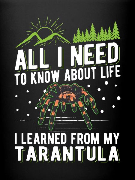 Tarentule Araignée Tarentule