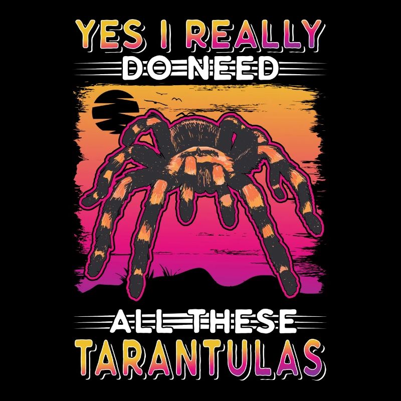 Tarantula Gift Spider Tarantula