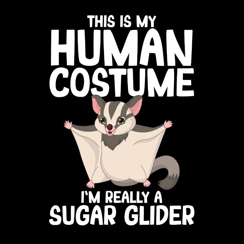 Sugar Glider Flughörnchen