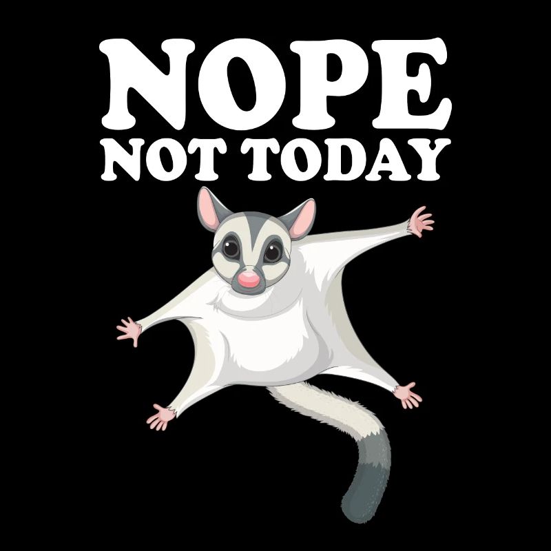 Sugar Glider Flughörnchen