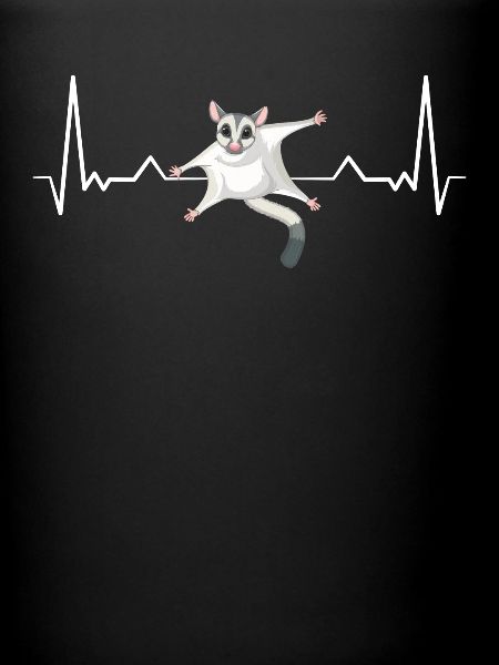Sugar Glider Flughörnchen