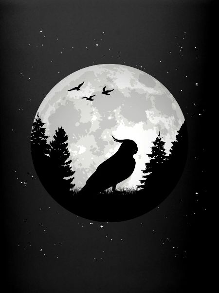 Perruche Budgie Moon Welli