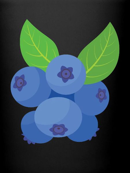 Blauberren Blauberre Cadeau