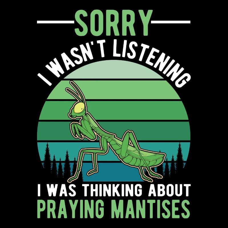 Gottesanbeterin Geschenk Mantis Fangschrecke
