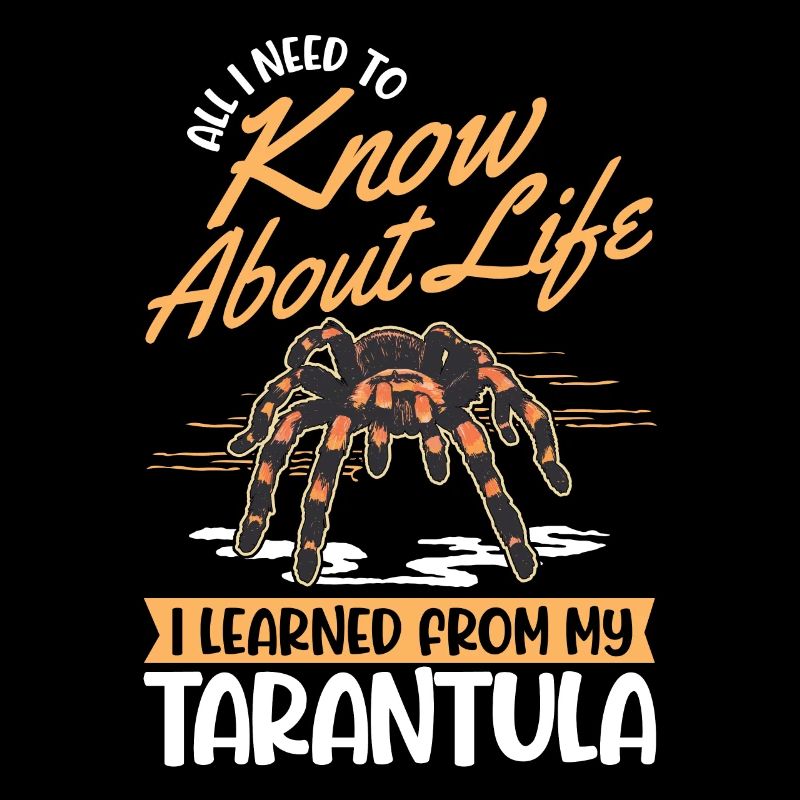 Tarantel Spinne Tarantula