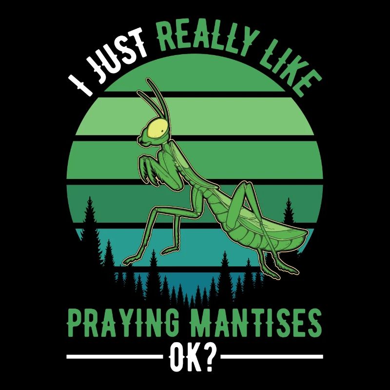 Gottesanbeterin Geschenk Mantis Fangschrecke