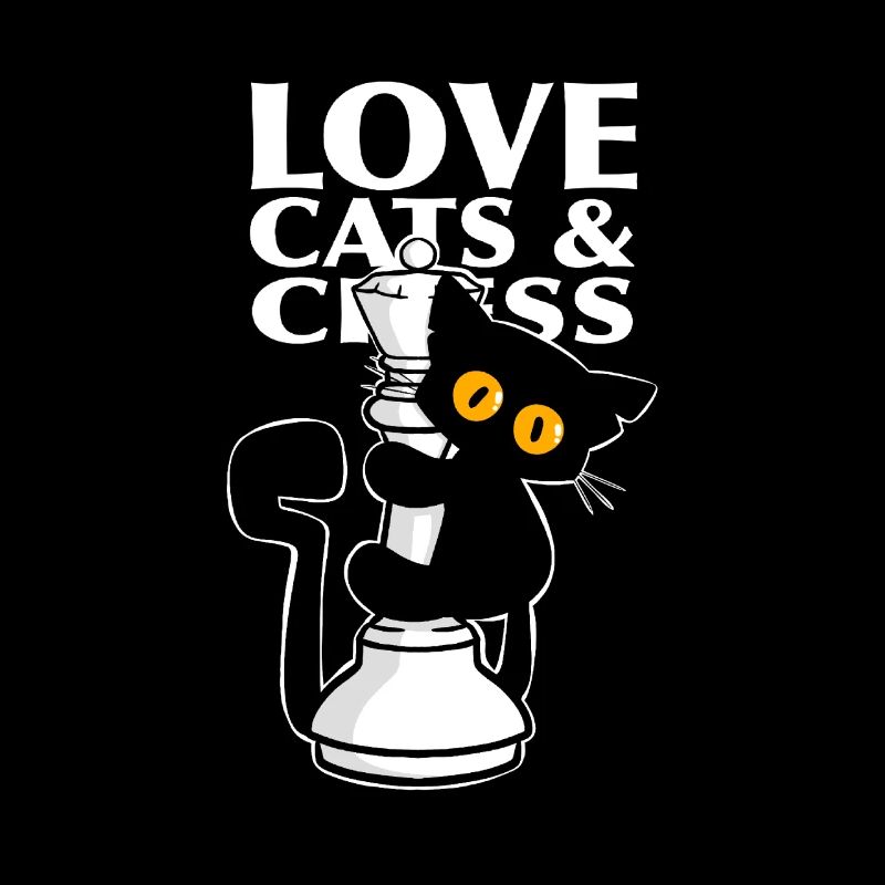 Cute black cat, climbs on checkers from chess