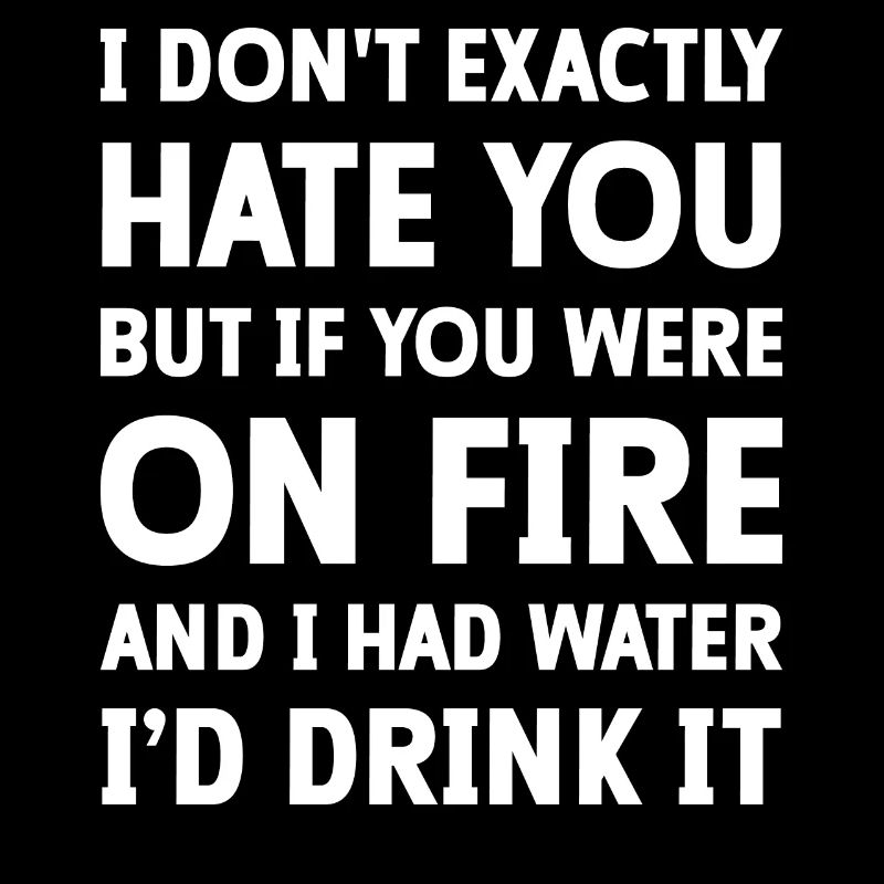 I don't exactly hate you but if you were on fire