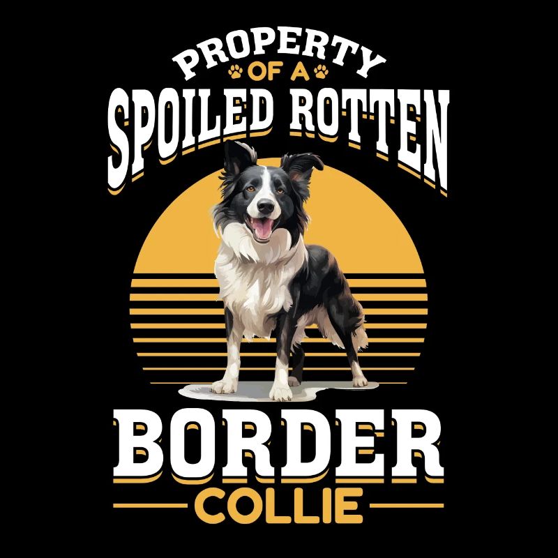 Border Collie Chien Propriété d’un pourri gâté