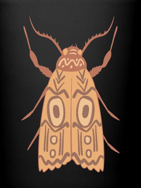 Aborigène