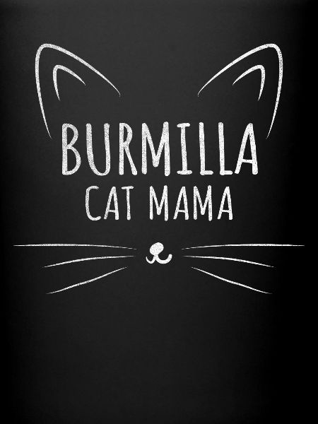 Burmilla Maman Chat