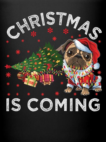 Noël arrive version chien