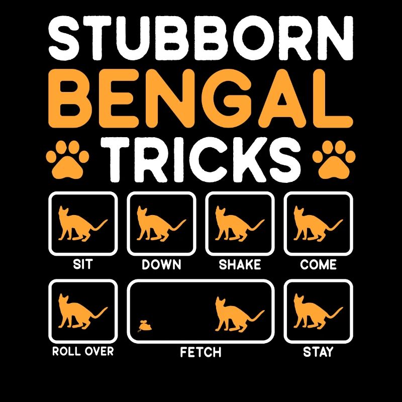 Stubborn Tricks Bengal Cat