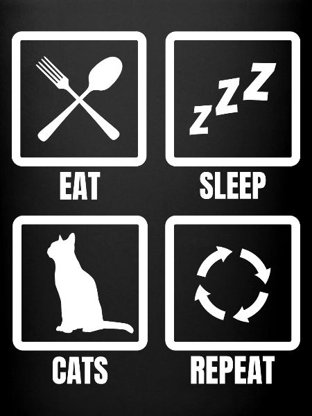 Eat Sleep Cats Répéter
