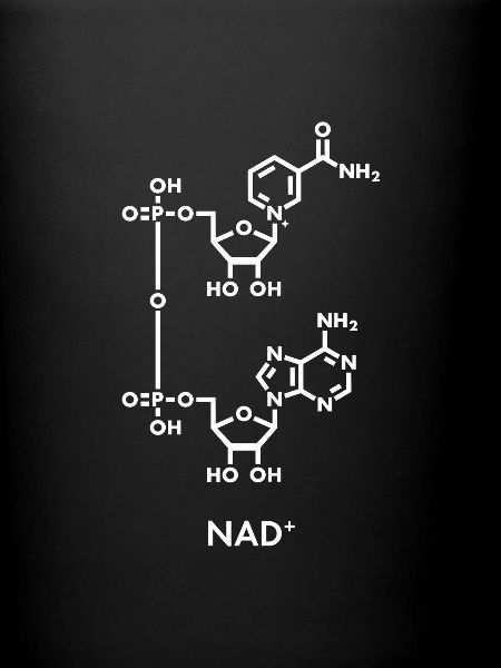 NAD+ Formule chimique