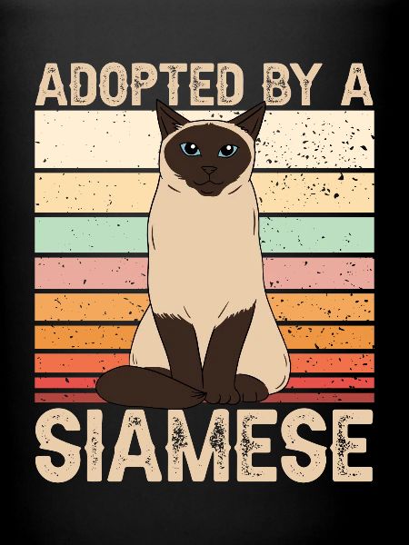 Siamkatze