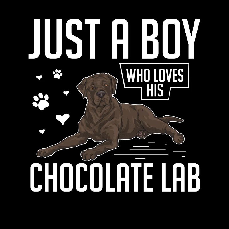 Chien Labrador Retriever chocolat