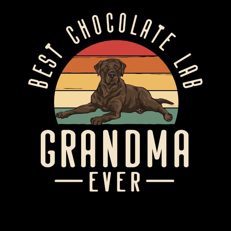 Chien Labrador Retriever chocolat